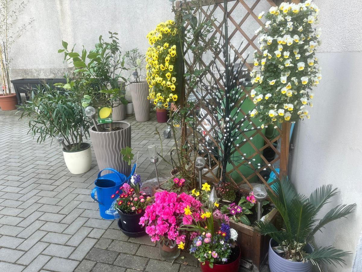 Kaethe-Kollwitz-Strasse 54, F2 Apartment อัลเทนบวร์ก ภายนอก รูปภาพ